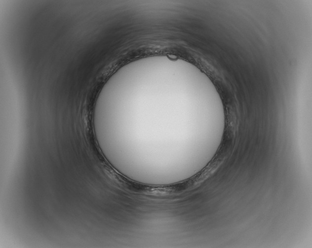X0000112830758200908210938