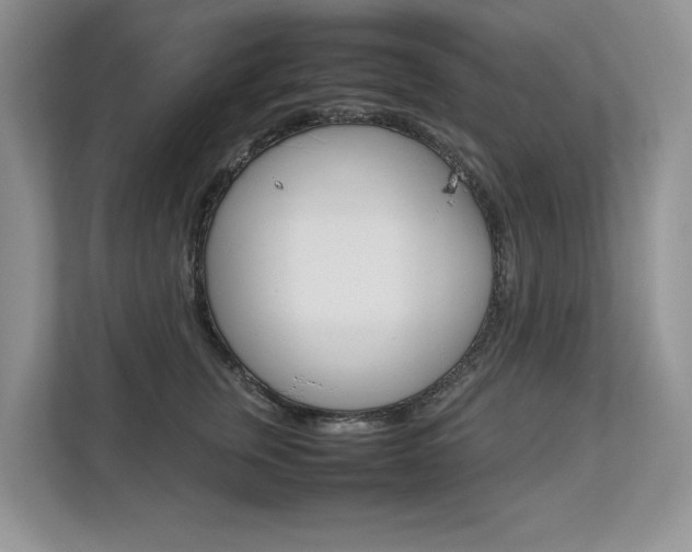 X0000112830759200908210938