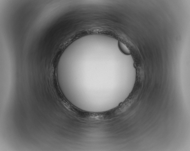 X0000112830760200908210938