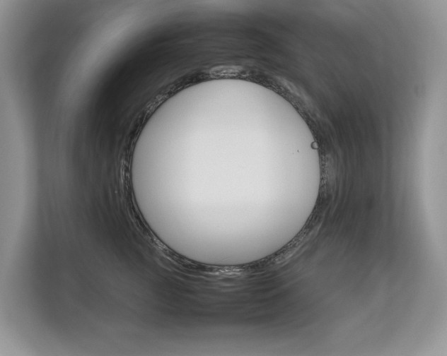 X0000112830761200908210938