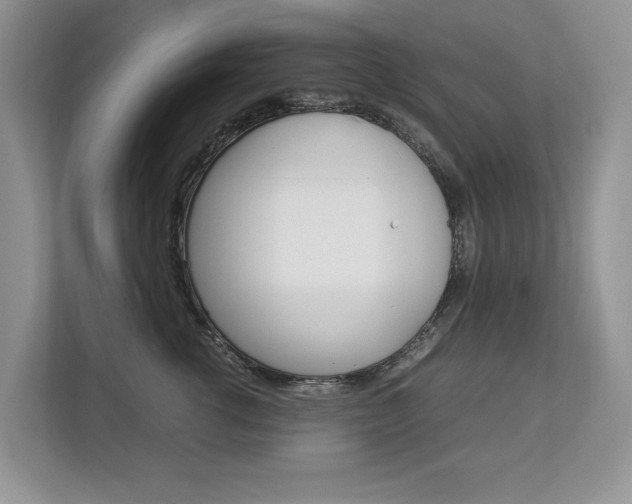 X0000112830762200908210938
