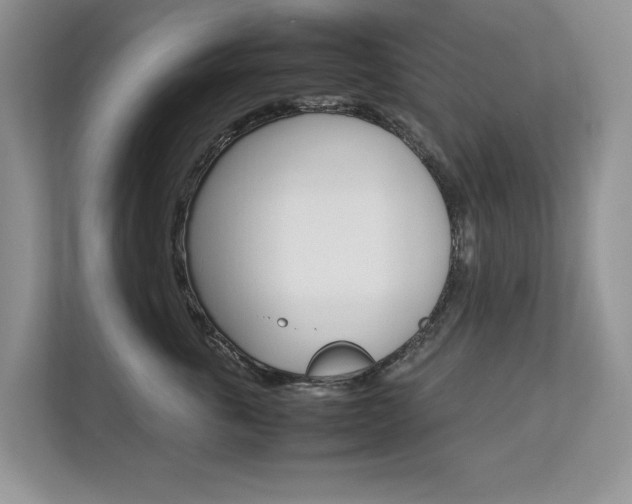 X0000112830763200908210938
