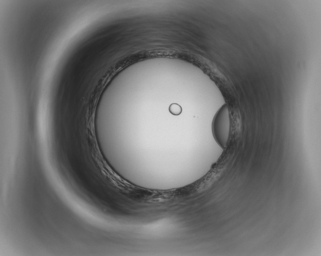 X0000112830764200908210938