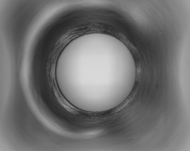 X0000112830765200908210938