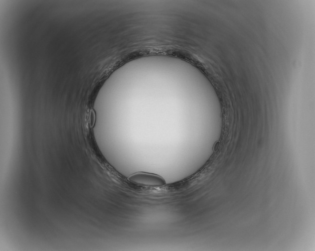 X0000112830768200908210939