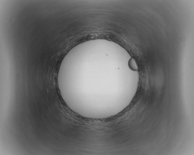 X0000112830770200908210938