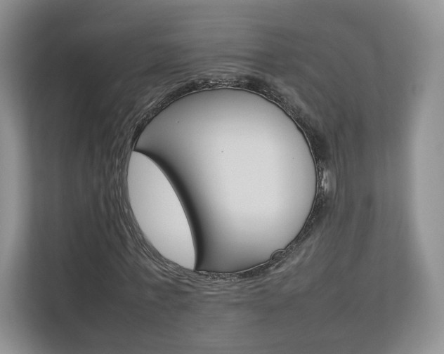 X0000112830771200908210938