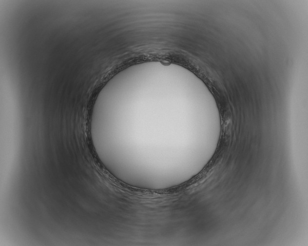 X0000112830772200908210938