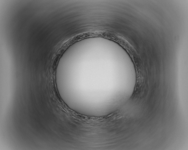 X0000112830773200908210938
