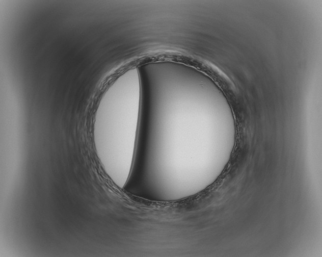 X0000112830775200908210938