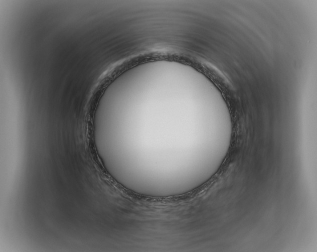 X0000112830776200908210938