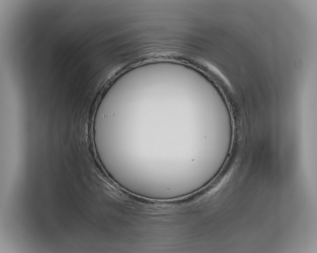 X0000112830777200908210938