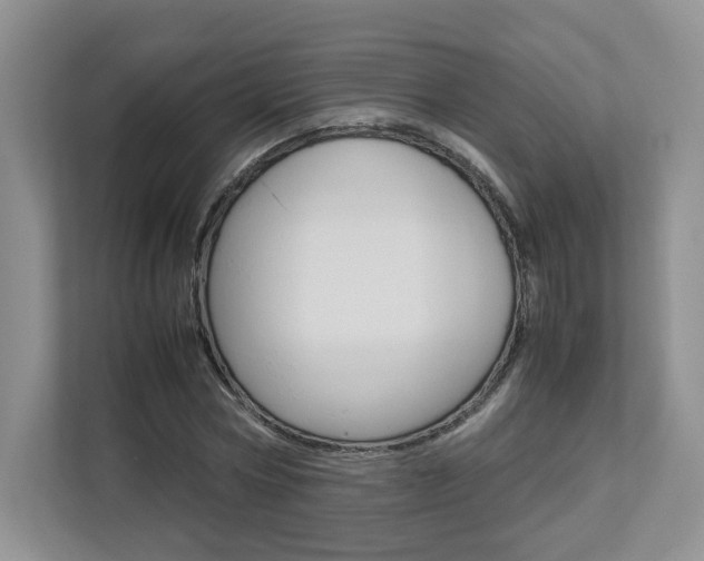 X0000112830778200908210938