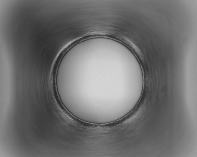 X0000112830779200908210938