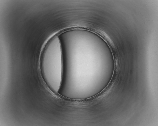 X0000112830780200908210938