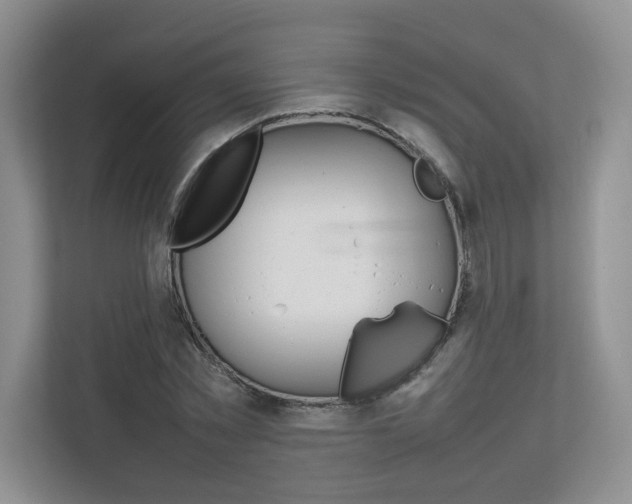 X0000112830781200908210938