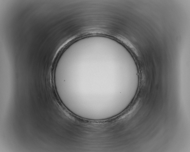 X0000112830782200908210938