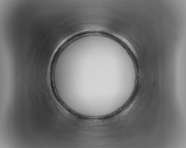 X0000112830783200908210938