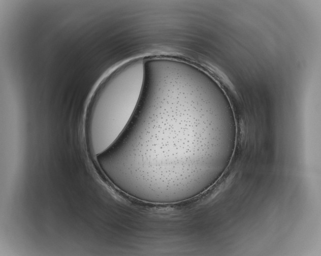 X0000112830784200908210938