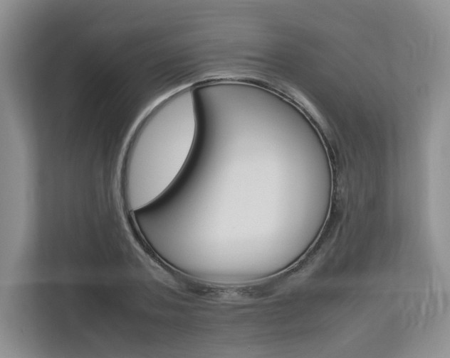 X0000112830787200908210938