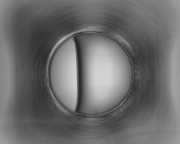 X0000112830792200908210938