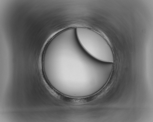 X0000112830795200908210938