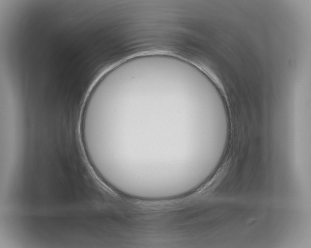 X0000112830797200908210938