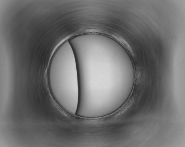 X0000112830798200908210938