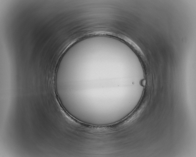 X0000112830801200908210937