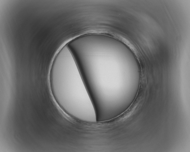 X0000112830803200908210937