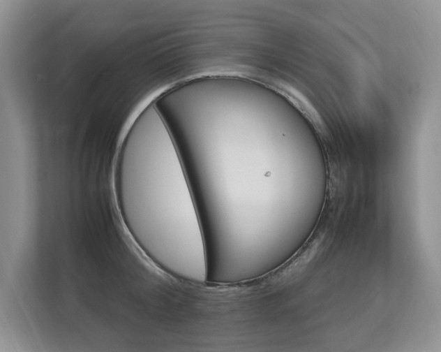 X0000112830804200908210937