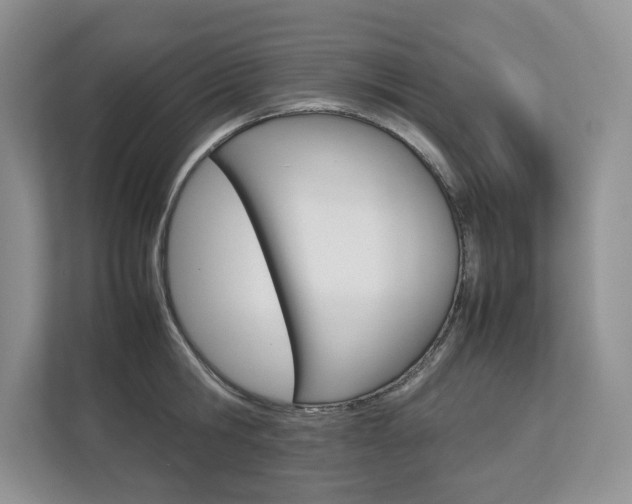 X0000112830806200908210937