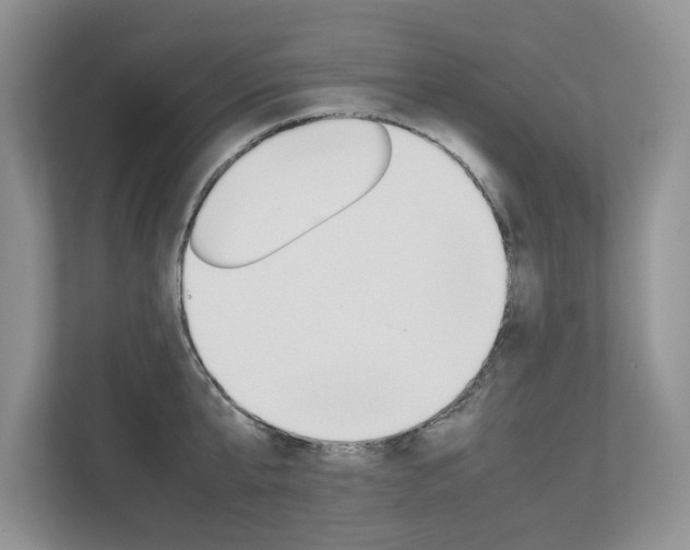 X0000112830807200908210937