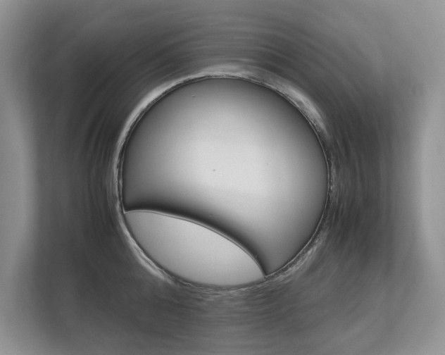 X0000112830808200908210937