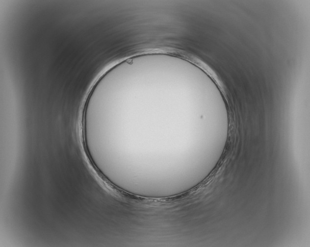 X0000112830811200908210937