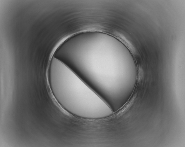X0000112830812200908210937