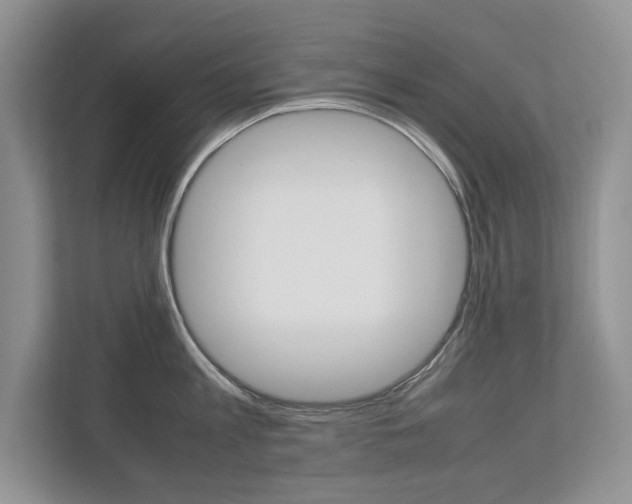 X0000112830813200908210937