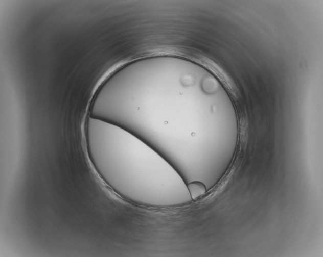 X0000112830814200908210937