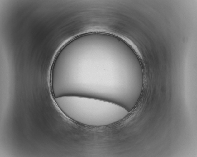 X0000112830815200908210937
