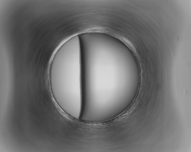 X0000112830816200908210937