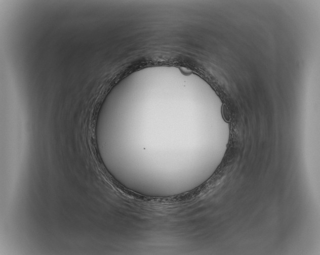 X0000112830817200908210937