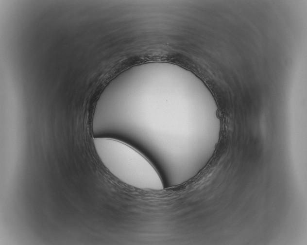 X0000112830818200908210937