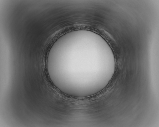 X0000112830821200908210937