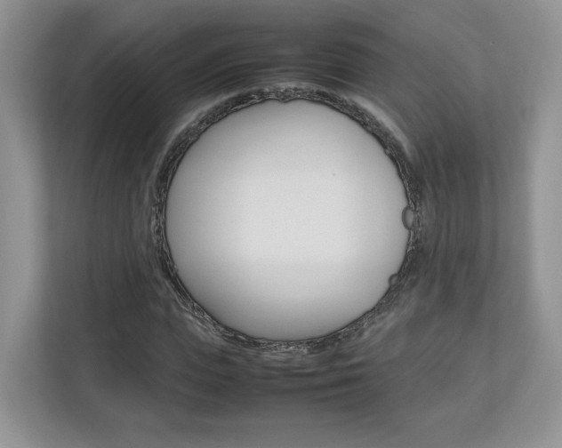 X0000112830823200908210937
