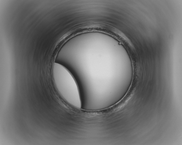 X0000112830826200908210937