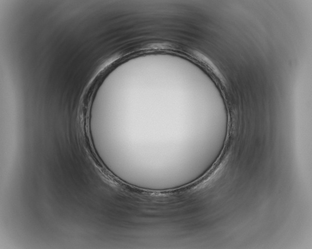 X0000112830827200908210937