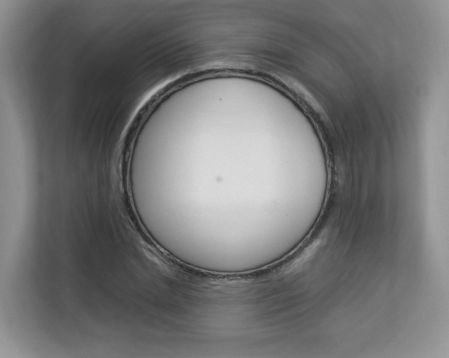 X0000112830830200908210937
