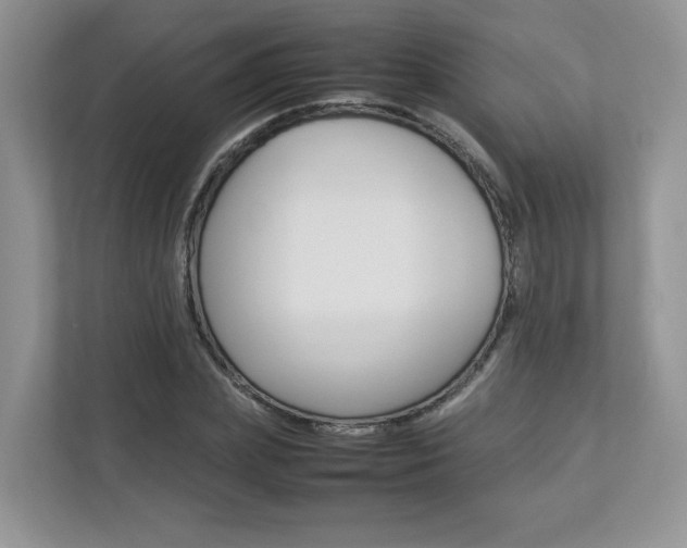 X0000112830831200908210937