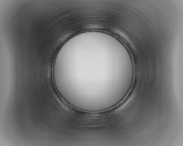 X0000112830833200908210937