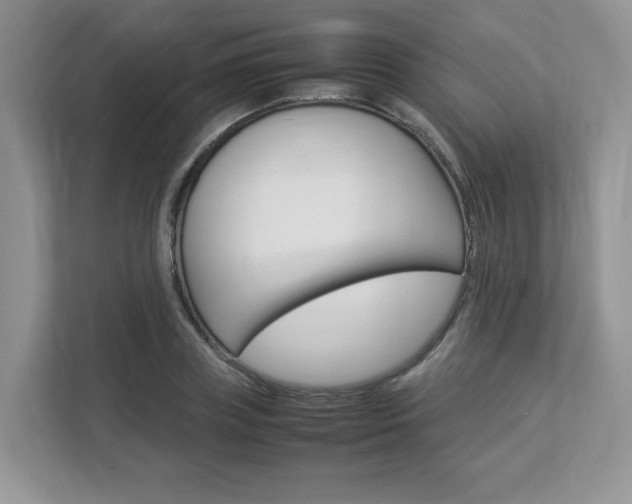 X0000112830835200908210937
